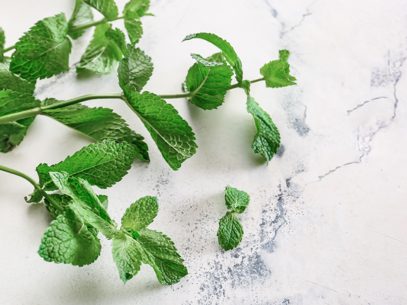 エアリーフミント